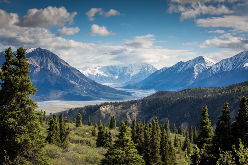 Himalayan Nest Villa