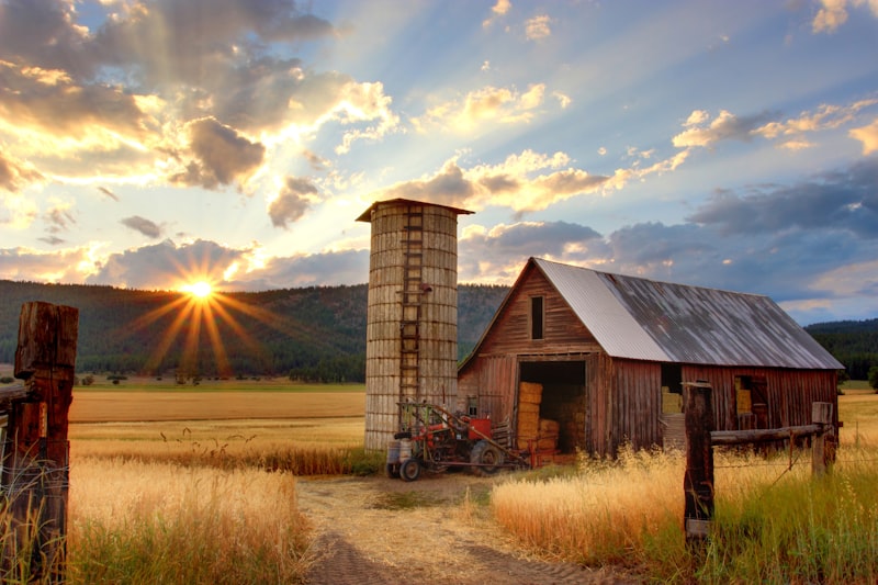 Whispering Pines Farm